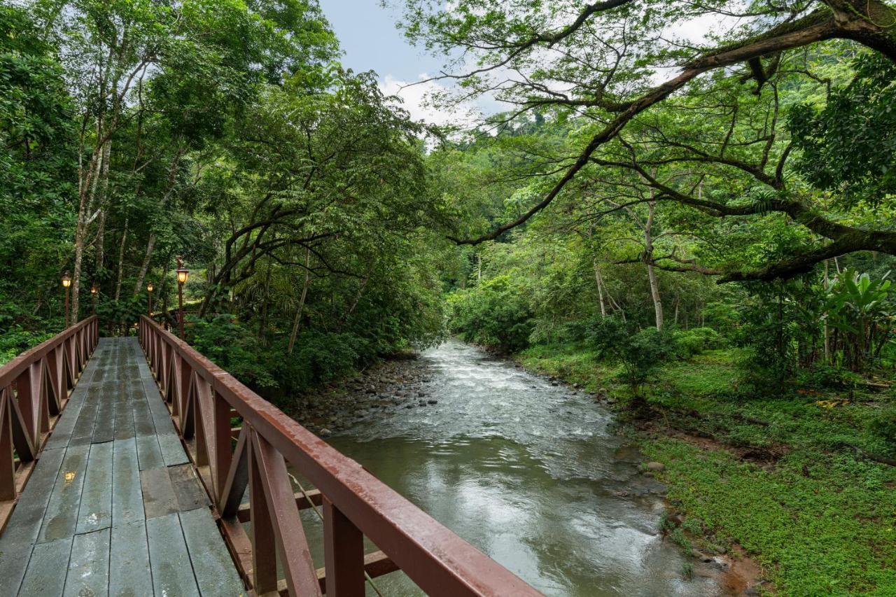 Villa Lapas Jungle Village Tárcoles Extérieur photo